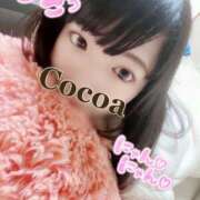ヒメ日記 2025/01/10 20:00 投稿 心愛【ここあ】 CoCoaco(ココアコ)大阪本店
