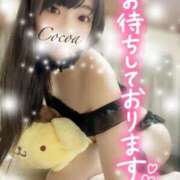 ヒメ日記 2025/01/12 18:00 投稿 心愛【ここあ】 CoCoaco(ココアコ)大阪本店