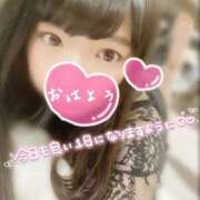 ヒメ日記 2025/01/21 07:40 投稿 心愛【ここあ】 CoCoaco(ココアコ)大阪本店