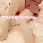 ヒメ日記 2025/01/24 07:34 投稿 心愛【ここあ】 CoCoaco(ココアコ)大阪本店