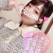 ヒメ日記 2025/02/01 20:43 投稿 心愛【ここあ】 CoCoaco(ココアコ)大阪本店