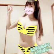 ヒメ日記 2025/02/02 19:00 投稿 心愛【ここあ】 CoCoaco(ココアコ)大阪本店