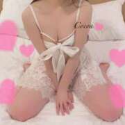 ヒメ日記 2025/02/03 16:34 投稿 心愛【ここあ】 CoCoaco(ココアコ)大阪本店