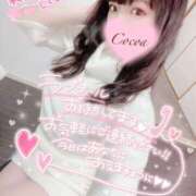 ヒメ日記 2025/02/03 18:50 投稿 心愛【ここあ】 CoCoaco(ココアコ)大阪本店