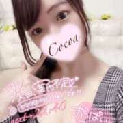 ヒメ日記 2025/02/03 19:30 投稿 心愛【ここあ】 CoCoaco(ココアコ)大阪本店