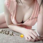 ヒメ日記 2025/02/05 07:30 投稿 心愛【ここあ】 CoCoaco(ココアコ)大阪本店