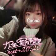 ヒメ日記 2025/02/05 19:11 投稿 心愛【ここあ】 CoCoaco(ココアコ)大阪本店