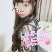 ヒメ日記 2025/02/12 19:50 投稿 心愛【ここあ】 CoCoaco(ココアコ)大阪本店