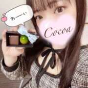 ヒメ日記 2025/02/12 22:11 投稿 心愛【ここあ】 CoCoaco(ココアコ)大阪本店