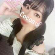 ヒメ日記 2025/02/13 23:40 投稿 心愛【ここあ】 CoCoaco(ココアコ)大阪本店
