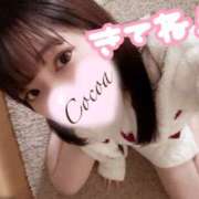 ヒメ日記 2025/02/16 23:20 投稿 心愛【ここあ】 CoCoaco(ココアコ)大阪本店