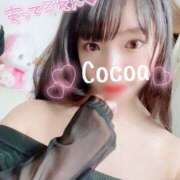 ヒメ日記 2025/02/19 11:03 投稿 心愛【ここあ】 CoCoaco(ココアコ)大阪本店