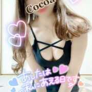 ヒメ日記 2025/02/20 02:46 投稿 心愛【ここあ】 CoCoaco(ココアコ)大阪本店