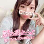 ヒメ日記 2025/02/20 22:56 投稿 心愛【ここあ】 CoCoaco(ココアコ)大阪本店
