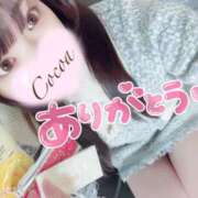 ヒメ日記 2025/02/21 00:41 投稿 心愛【ここあ】 CoCoaco(ココアコ)大阪本店