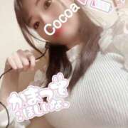 ヒメ日記 2025/02/22 15:00 投稿 心愛【ここあ】 CoCoaco(ココアコ)大阪本店