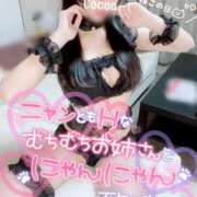 ヒメ日記 2025/02/22 20:40 投稿 心愛【ここあ】 CoCoaco(ココアコ)大阪本店