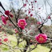 ヒメ日記 2025/02/23 19:31 投稿 心愛【ここあ】 CoCoaco(ココアコ)大阪本店