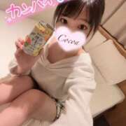 ヒメ日記 2025/02/24 22:08 投稿 心愛【ここあ】 CoCoaco(ココアコ)大阪本店