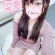 ヒメ日記 2025/02/25 01:43 投稿 心愛【ここあ】 CoCoaco(ココアコ)大阪本店