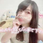 ヒメ日記 2025/02/26 18:00 投稿 心愛【ここあ】 CoCoaco(ココアコ)大阪本店