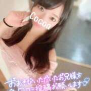 ヒメ日記 2025/02/27 07:40 投稿 心愛【ここあ】 CoCoaco(ココアコ)大阪本店