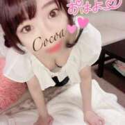 ヒメ日記 2025/03/02 08:30 投稿 心愛【ここあ】 CoCoaco(ココアコ)大阪本店