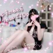 ヒメ日記 2025/03/02 23:44 投稿 心愛【ここあ】 CoCoaco(ココアコ)大阪本店