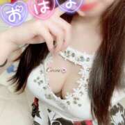 ヒメ日記 2025/03/10 07:45 投稿 心愛【ここあ】 CoCoaco(ココアコ)大阪本店