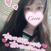 ヒメ日記 2025/03/11 06:10 投稿 心愛【ここあ】 CoCoaco(ココアコ)大阪本店