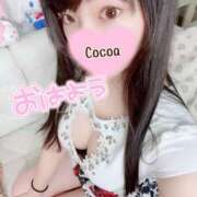 ヒメ日記 2025/03/12 07:00 投稿 心愛【ここあ】 CoCoaco(ココアコ)大阪本店