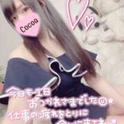 ヒメ日記 2025/03/12 19:30 投稿 心愛【ここあ】 CoCoaco(ココアコ)大阪本店