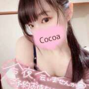 ヒメ日記 2025/03/15 11:02 投稿 心愛【ここあ】 CoCoaco(ココアコ)大阪本店