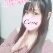 ヒメ日記 2025/03/19 02:34 投稿 心愛【ここあ】 CoCoaco(ココアコ)大阪本店