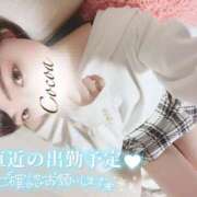 ヒメ日記 2025/03/19 22:00 投稿 心愛【ここあ】 CoCoaco(ココアコ)大阪本店