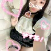 ヒメ日記 2025/03/22 19:31 投稿 心愛【ここあ】 CoCoaco(ココアコ)大阪本店