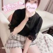ヒメ日記 2025/03/23 23:05 投稿 心愛【ここあ】 CoCoaco(ココアコ)大阪本店