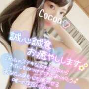 ヒメ日記 2025/03/26 16:00 投稿 心愛【ここあ】 CoCoaco(ココアコ)大阪本店