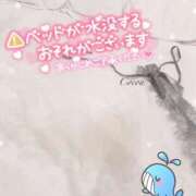 ヒメ日記 2025/03/27 20:00 投稿 心愛【ここあ】 CoCoaco(ココアコ)大阪本店