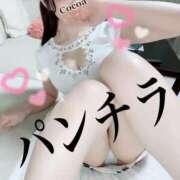 ヒメ日記 2025/03/28 01:20 投稿 心愛【ここあ】 CoCoaco(ココアコ)大阪本店