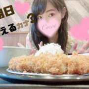 ヒメ日記 2025/03/28 20:00 投稿 心愛【ここあ】 CoCoaco(ココアコ)大阪本店