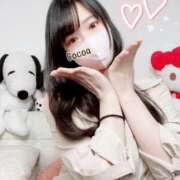 ヒメ日記 2025/03/31 16:10 投稿 心愛【ここあ】 CoCoaco(ココアコ)大阪本店