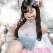 ヒメ日記 2025/03/31 18:23 投稿 心愛【ここあ】 CoCoaco(ココアコ)大阪本店