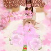 ヒメ日記 2025/03/31 23:43 投稿 心愛【ここあ】 CoCoaco(ココアコ)大阪本店