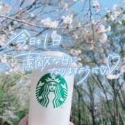 ヒメ日記 2025/04/01 07:35 投稿 心愛【ここあ】 CoCoaco(ココアコ)大阪本店