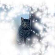 ヒメ日記 2025/04/02 07:00 投稿 心愛【ここあ】 CoCoaco(ココアコ)大阪本店