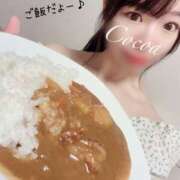 ヒメ日記 2025/04/02 12:00 投稿 心愛【ここあ】 CoCoaco(ココアコ)大阪本店
