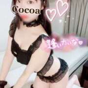 ヒメ日記 2025/04/02 19:00 投稿 心愛【ここあ】 CoCoaco(ココアコ)大阪本店