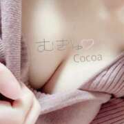 ヒメ日記 2025/04/02 21:10 投稿 心愛【ここあ】 CoCoaco(ココアコ)大阪本店