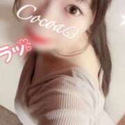 ヒメ日記 2025/04/04 15:30 投稿 心愛【ここあ】 CoCoaco(ココアコ)大阪本店